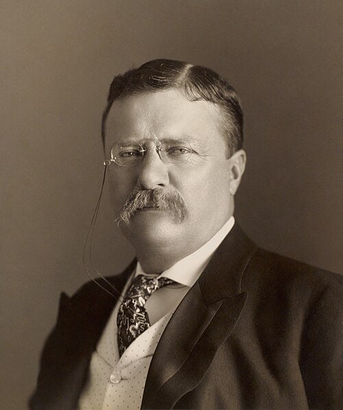 Theodore Roosevelt Profile & Biography