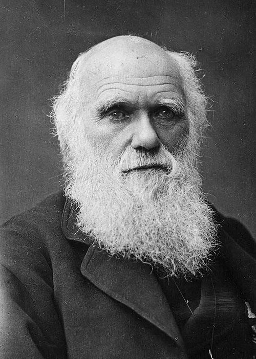 Charles Darwin Profile & Biography