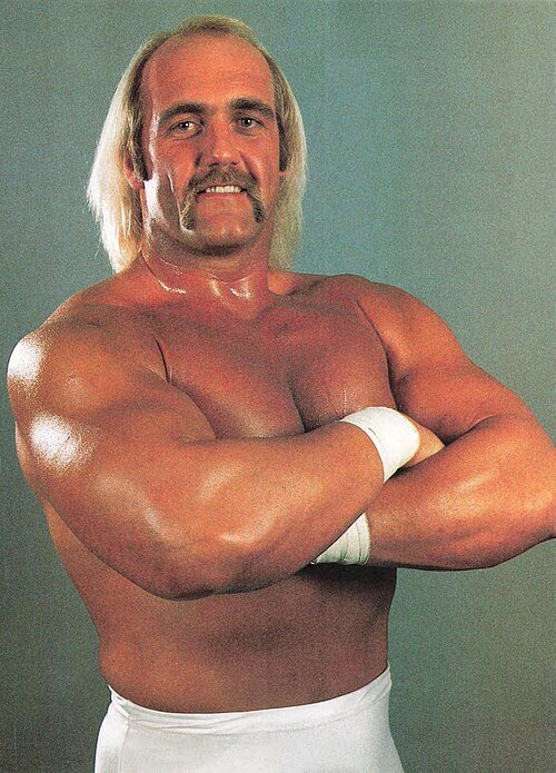 Hulk Hogan Profile & Biography