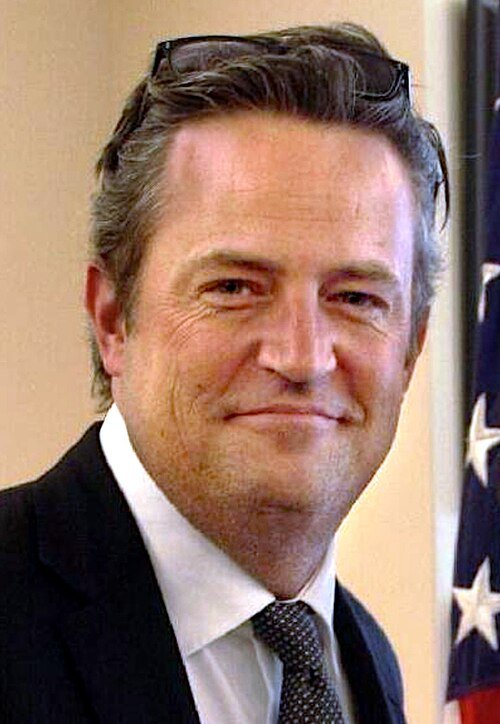 Matthew Perry Profile & Biography